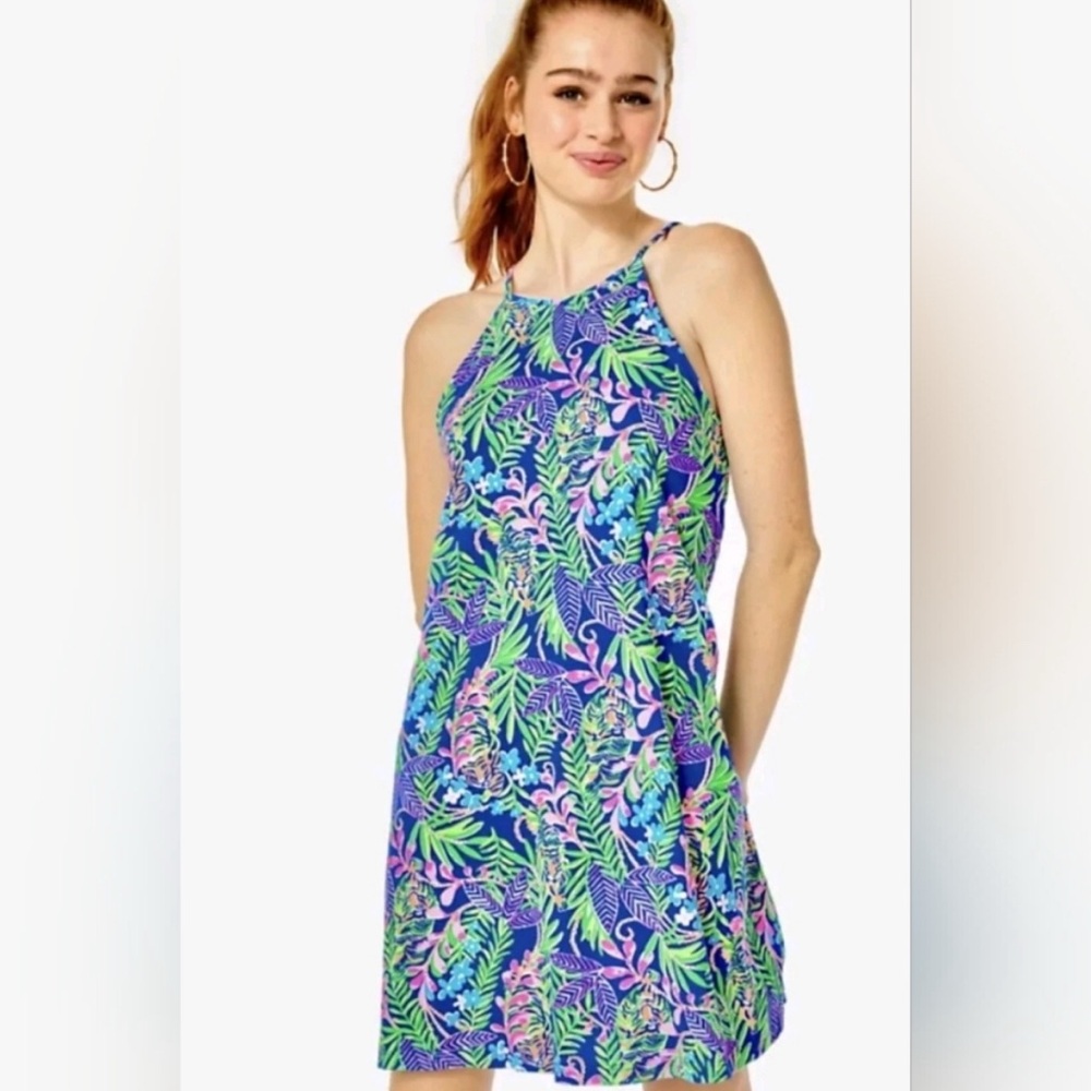 EUC Lilly Pulitzer Margot Swing Dress How do you like me prowl size M
